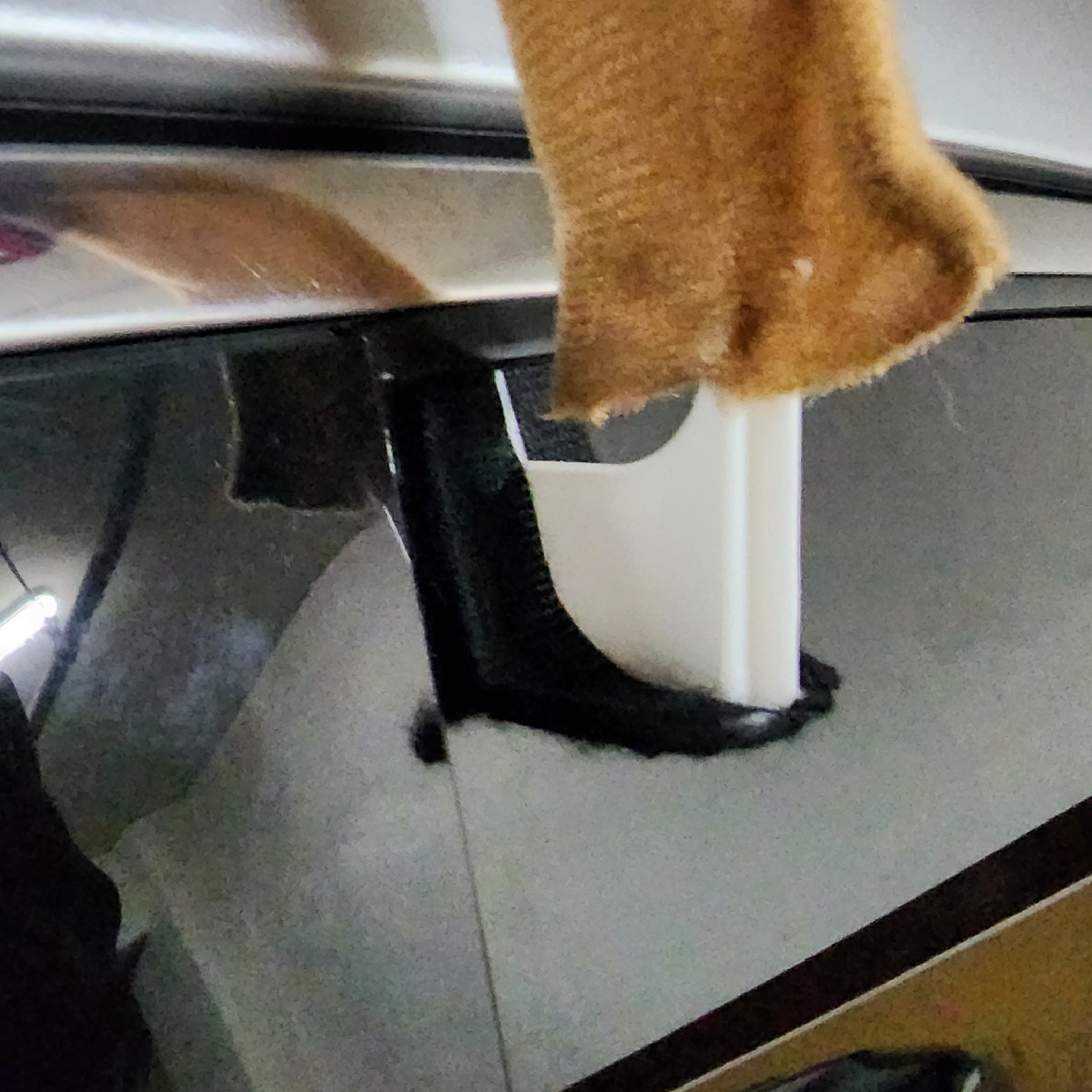 아직 다들 뿔 꼽을 시기는 멀었나봐요😅|차꾸미기