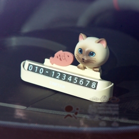 카템 마이냥 자동차 주차번호판