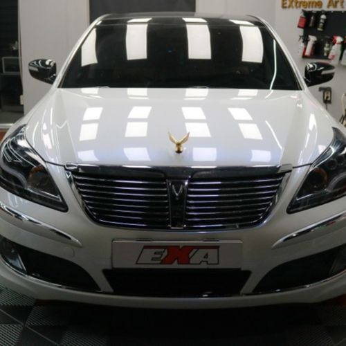 대구 달성군 / 랩핑 (타이니봇) & 판금 / 현대 / 에쿠스