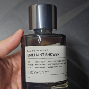 지오바니 프리미엄 차량용 디퓨저 미니 방향제 160ml 2구 세트 + 고정 겔패드 포함