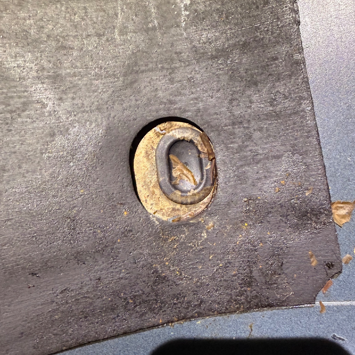 크린출장세차 에바크리닝 세차/디테일링 시공후기|튜닝/정비