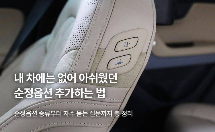 순정옵션
